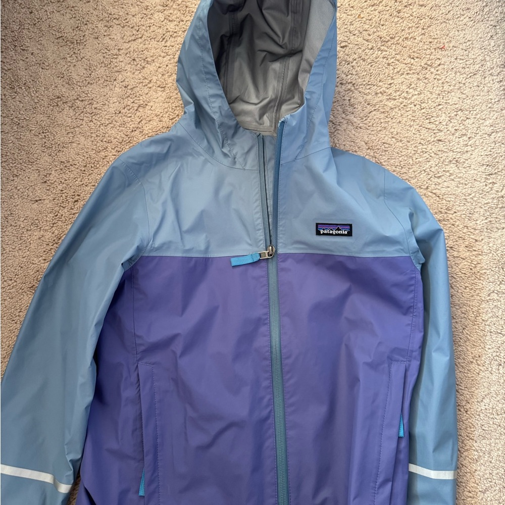 Patagonia Gray and Purple Jacket